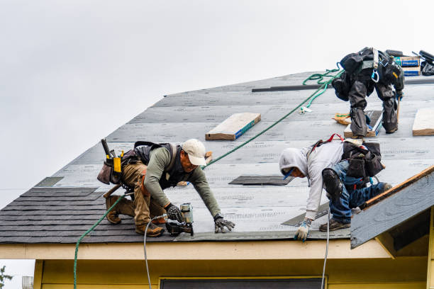 Professional Gutter Installation technician working in Palacios, TX
